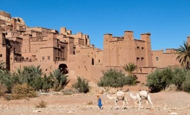 Sahara 6 days trekking