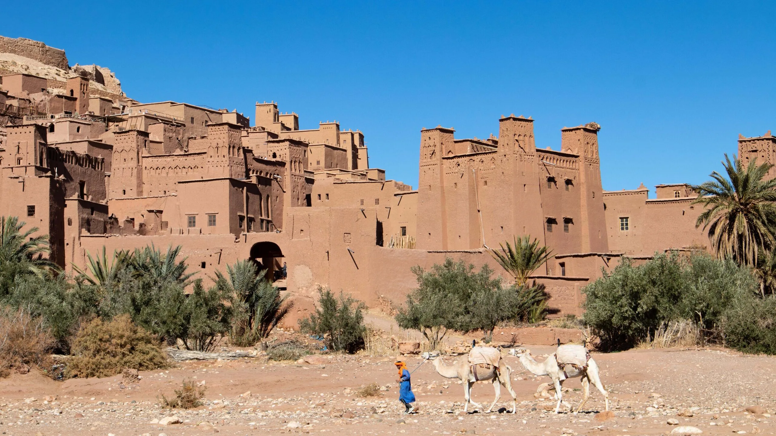 Sahara 6 days trekking