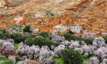 Rose Valley