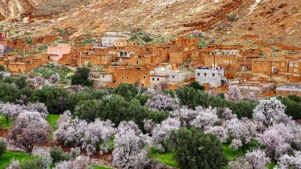 Rose Valley