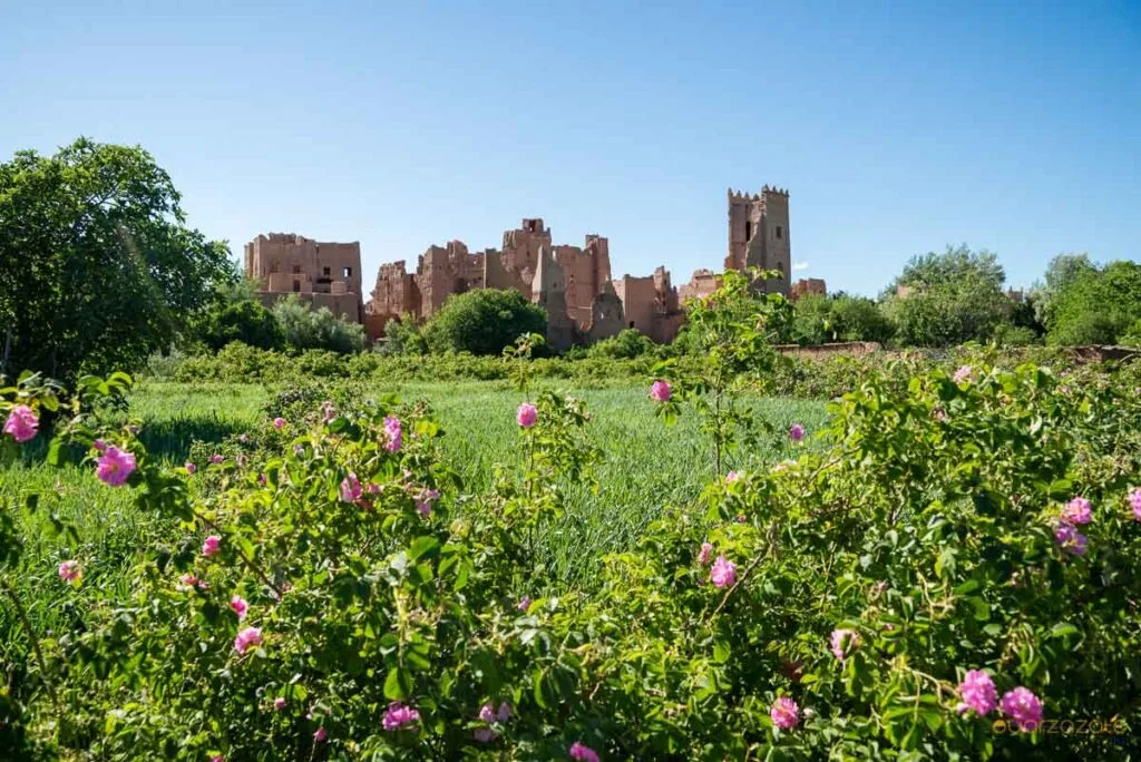 Rose Valley
