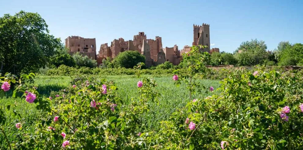 Rose Valley