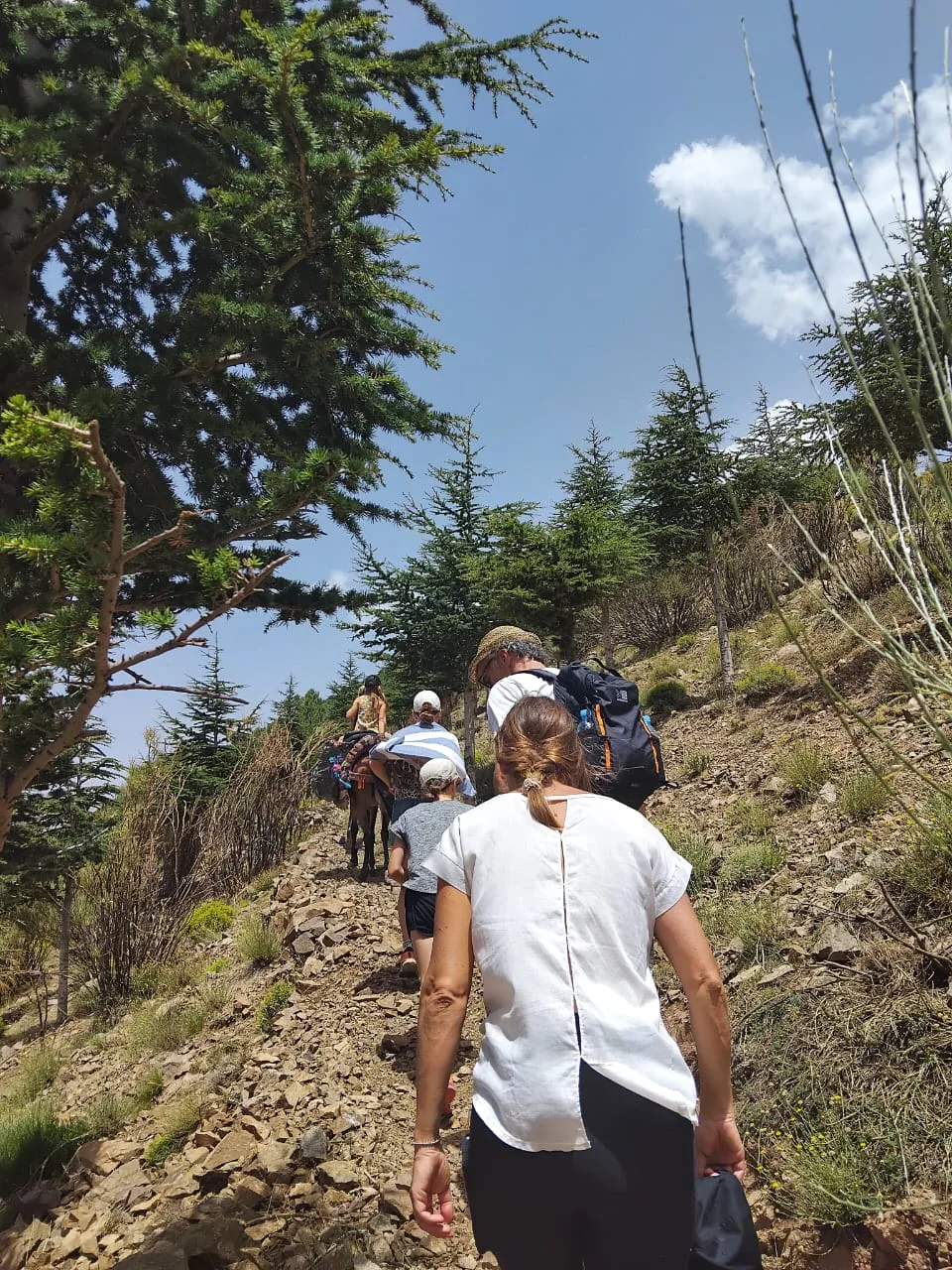 4 days Berber villages trek