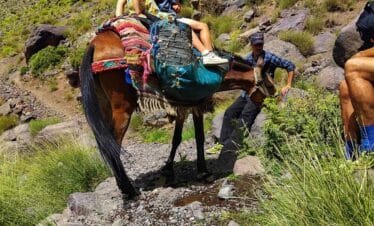 4 days Berber villages trek