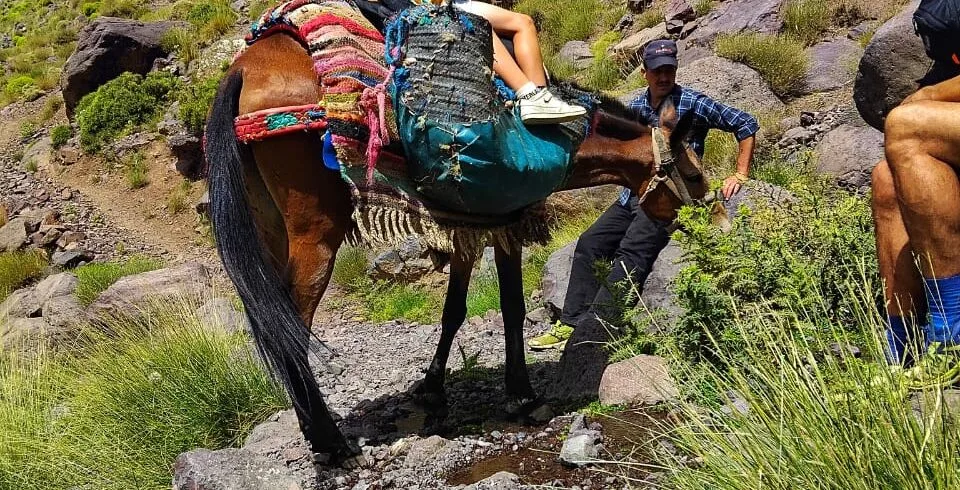 4 days Berber villages trek